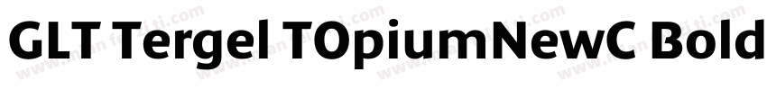 GLT Tergel TOpiumNewC Bold Italicig字体转换